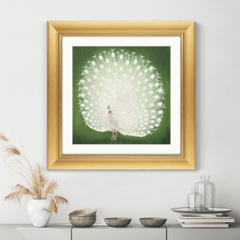 Постер Peacock 61X61 CM
