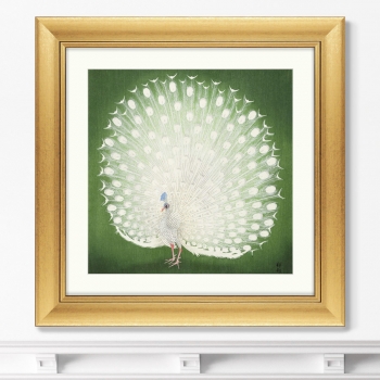 Постер Peacock 61X61 CM