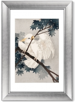 Постер Yellow crested cockatoo 51X71 CM
