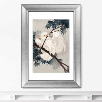 Постер Yellow crested cockatoo 51X71 CM