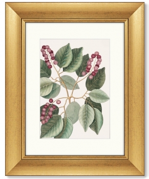 Диптих Pigeon-Plum 41X51 / 41X51 CM