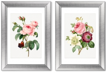 Диптих Antique plants drawn 51X71 / 51X71 CM