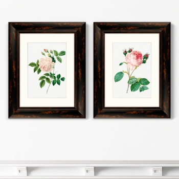 Диптих Antique plants drawn 41X51 / 41X51 CM