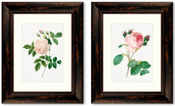 Диптих Antique plants drawn 41X51 / 41X51 CM