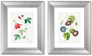 Диптих Antique plants drawn 41X51 / 41X51 CM