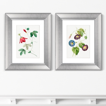 Диптих Antique plants drawn 41X51 / 41X51 CM