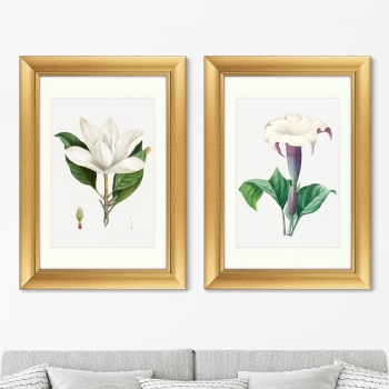 Диптих Antique plants drawn 51X71 / 51X71 CM