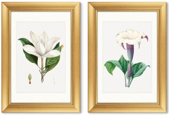 Диптих Antique plants drawn 51X71 / 51X71 CM