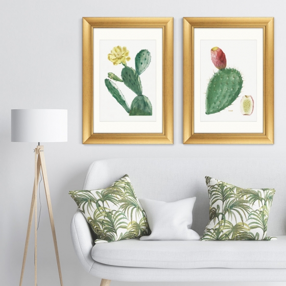 Диптих Cactus Opuntia Inermis 51X71 / 51X71 CM 5