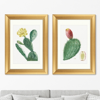 Диптих Cactus Opuntia Inermis 51X71 / 51X71 CM