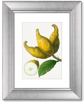 Диптих Citrus limonium 41X51 / 41X51 CM