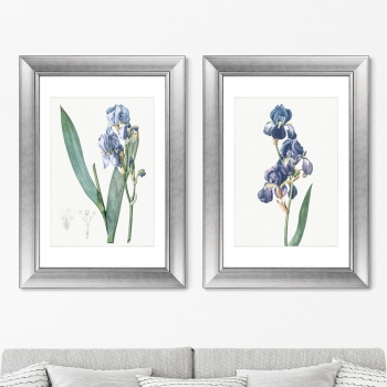 Диптих Dalmatian iris 51X71 / 51X71 CM