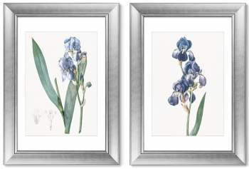 Диптих Dalmatian iris 51X71 / 51X71 CM