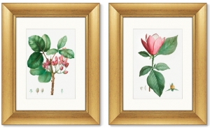 Диптих Lily magnolia & Pistaccia vera 41X51 / 41X51 CM