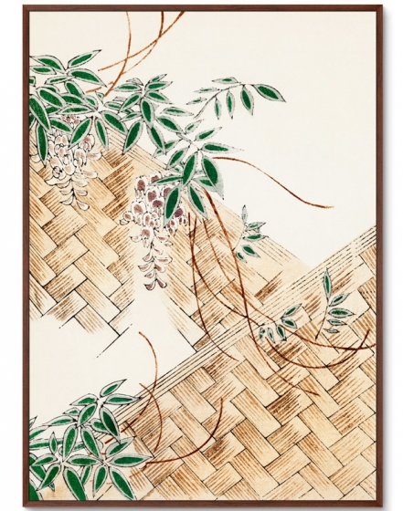 Постер Wisteria 75X105 CM 1