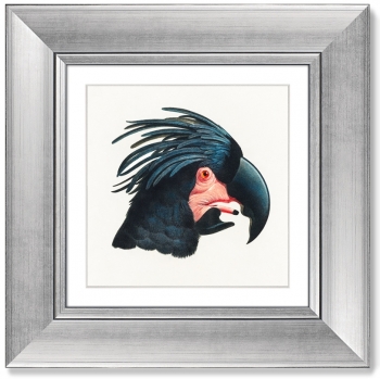 Диптих Ara Canga 36X36 / 36X36 CM