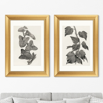 Диптих Melanocarpa from The Ivy 51X71 / 51X71 CM
