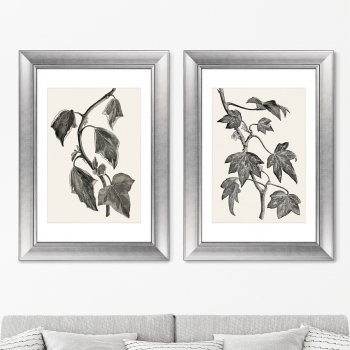 Диптих Pustulata from The Ivy 51X71 / 51X71 CM