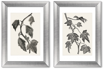 Диптих Pustulata from The Ivy 51X71 / 51X71 CM