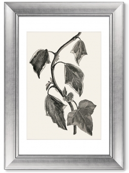 Диптих Pustulata from The Ivy 51X71 / 51X71 CM