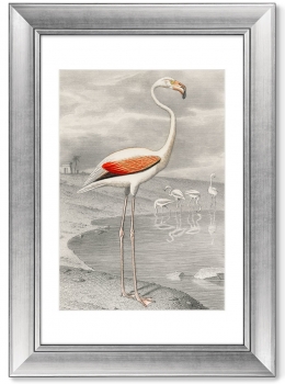 Постер Le Flammant 51X71 CM