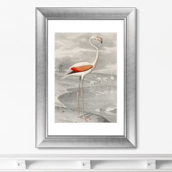 Постер Le Flammant 51X71 CM