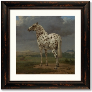 Постер The Piebald Horse 61X61 CM