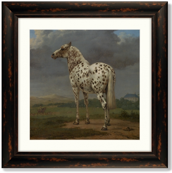 Постер The Piebald Horse 61X61 CM 1