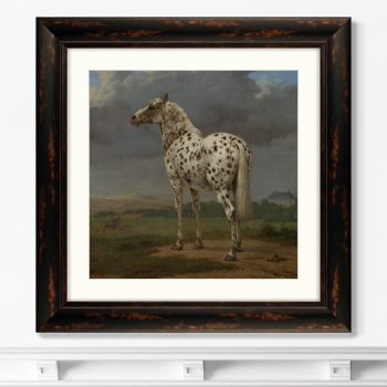 Постер The Piebald Horse 61X61 CM