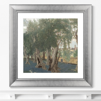 Постер Olive Grove 61X61 CM