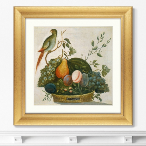 Постер Basket of Fruit with Parrot 61X61 CM 2