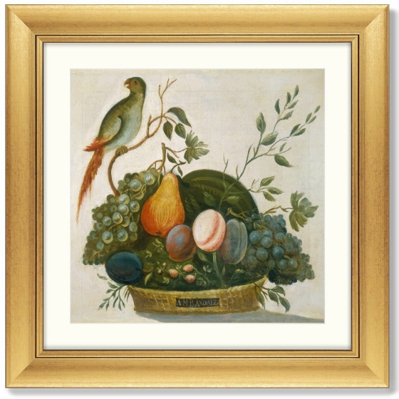 Постер Basket of Fruit with Parrot 61X61 CM 1