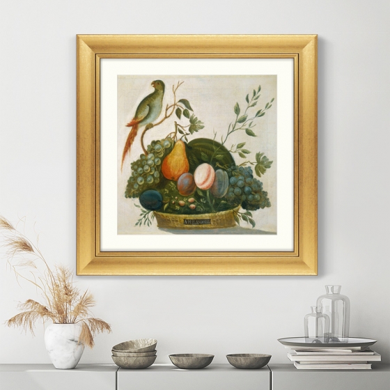 Постер Basket of Fruit with Parrot 61X61 CM 3