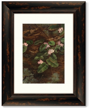 Диптих Trailing Arbutus 41X51 / 41X51 CM