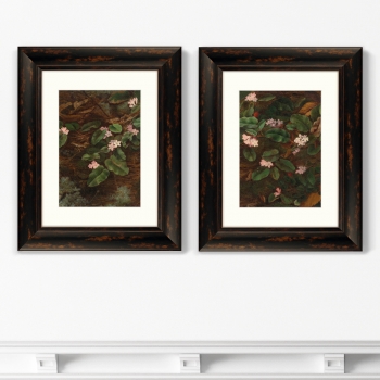 Диптих Trailing Arbutus 41X51 / 41X51 CM