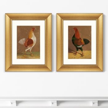 Диптих Fighting Cocks 41X51 / 41X51 CM