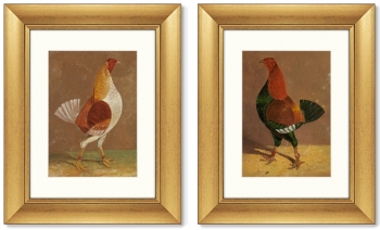 Диптих Fighting Cocks 41X51 / 41X51 CM