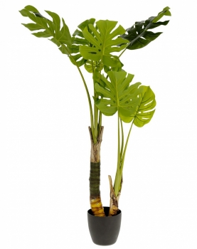 Искусственное растение Monstera 60X60X130 CM