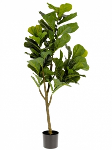 Искусственное растение Ficus 60X60X150 CM