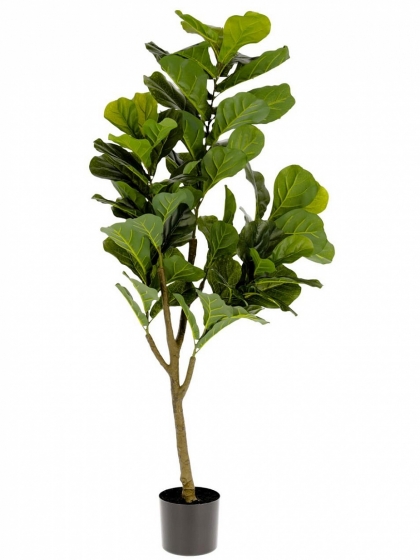 Искусственное растение Ficus 60X60X150 CM 1