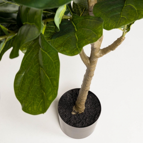 Искусственное растение Ficus 60X60X150 CM 2