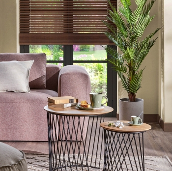 Искусственное растение Fern palm 70X70X150 CM