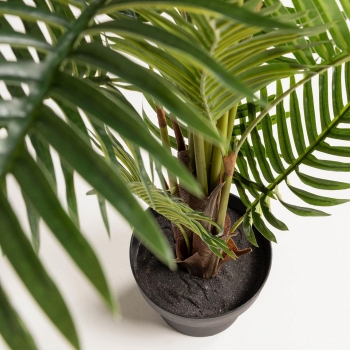 Искусственное растение Fern palm 70X70X150 CM