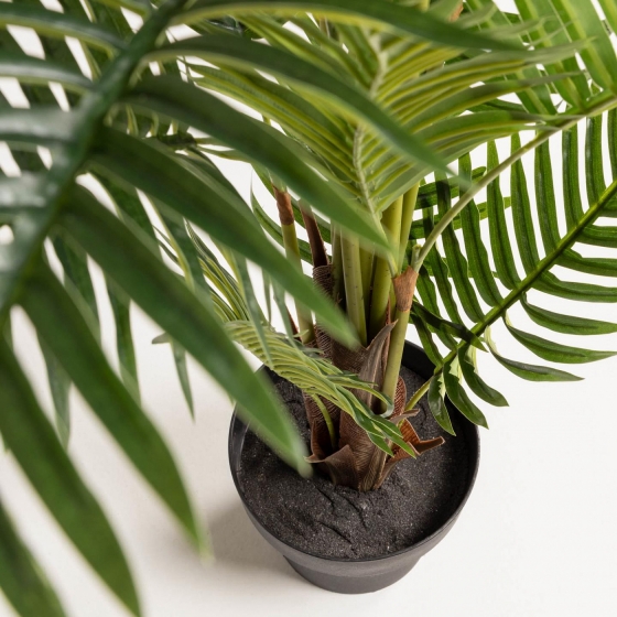 Искусственное растение Fern palm 70X70X150 CM 2