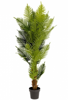 Искусственное растение Fern palm 70X70X150 CM