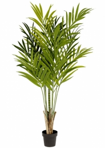 Искусственное растение Bamboo palm 100X100X170 CM