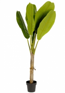Искусственное растение Banana 90X90X160 CM