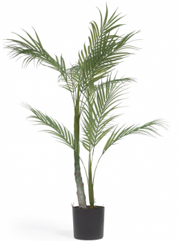 Искусственное растение Palmera 50X50X70 CM 