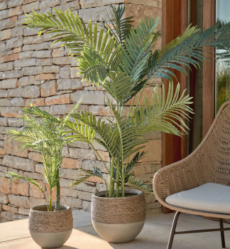 Искусственное растение Palmera 50X50X70 CM 