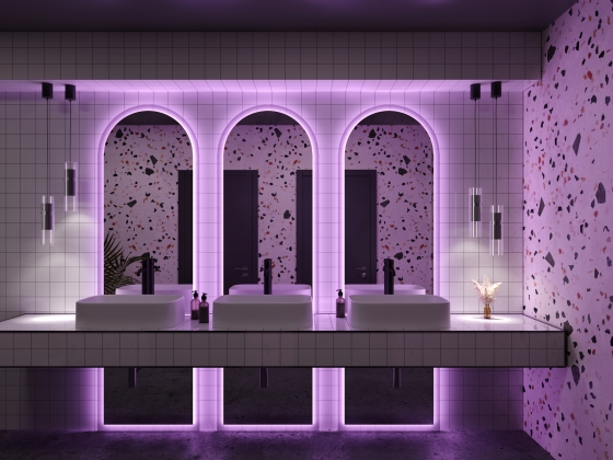 Светодиодная лента Standard RGB 5м 3